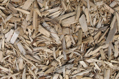 biomass boilers Etteridge